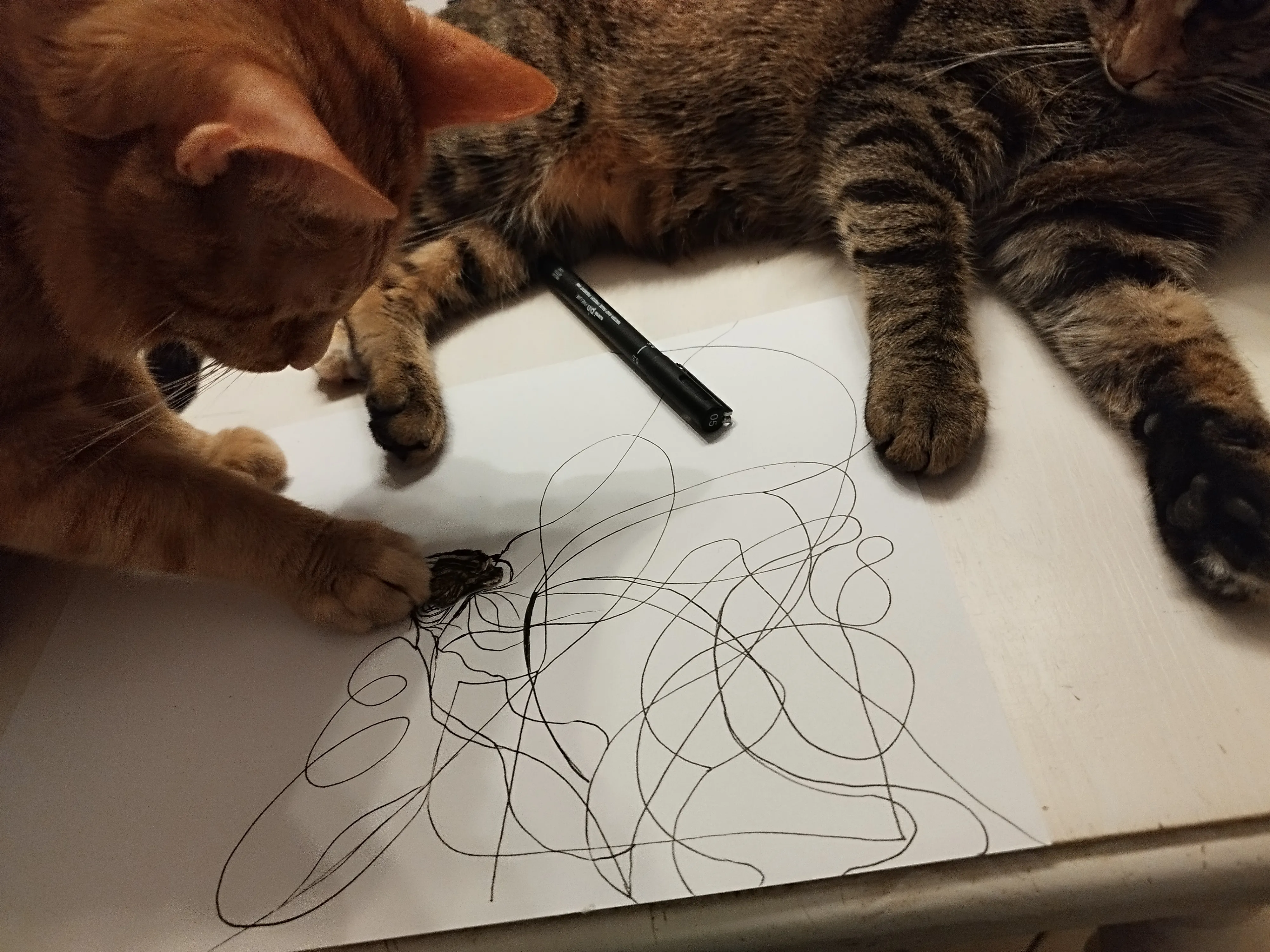 I am not an Artist, yet Art keeps Finding me — photo 2